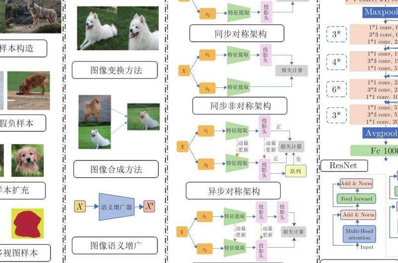 WhatsApp常用语句推荐与应用